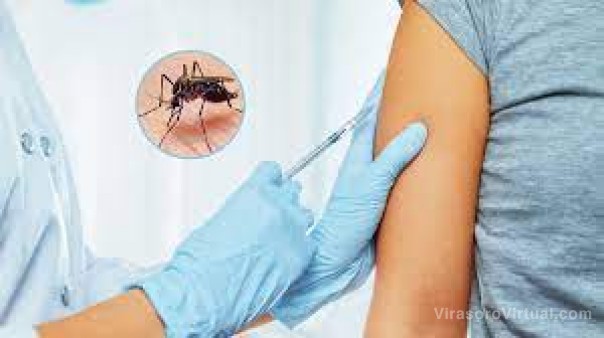 Vacuna contra el dengue: esperan el primer lote tras la aprobación de la Anmat
