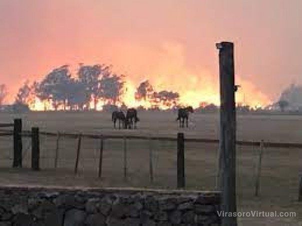 La millonaria cifra que envía Nación a Corrientes a los productores afectados por el fuego