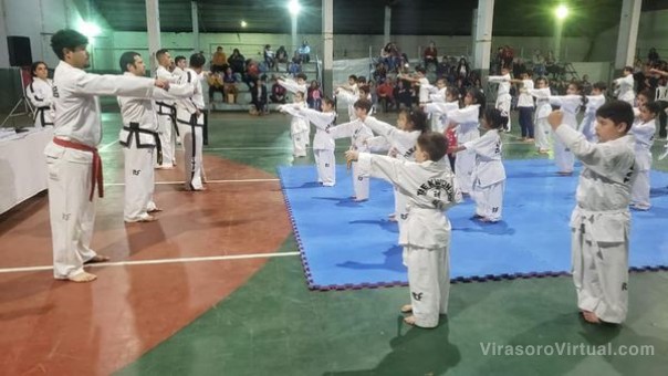 Taekwondo